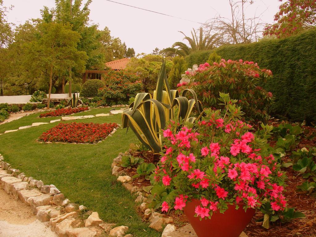 Otium Country House Alvorge Exterior foto